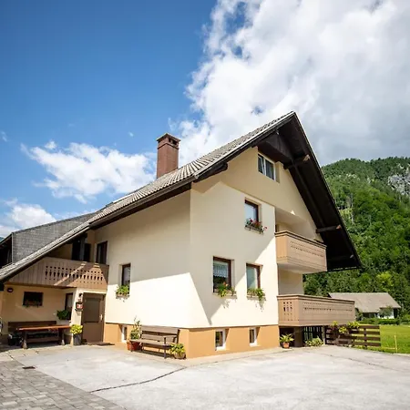 Apartment Darinka Mencinger
