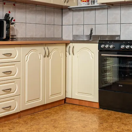 Darinka Mencinger 公寓 博希尼