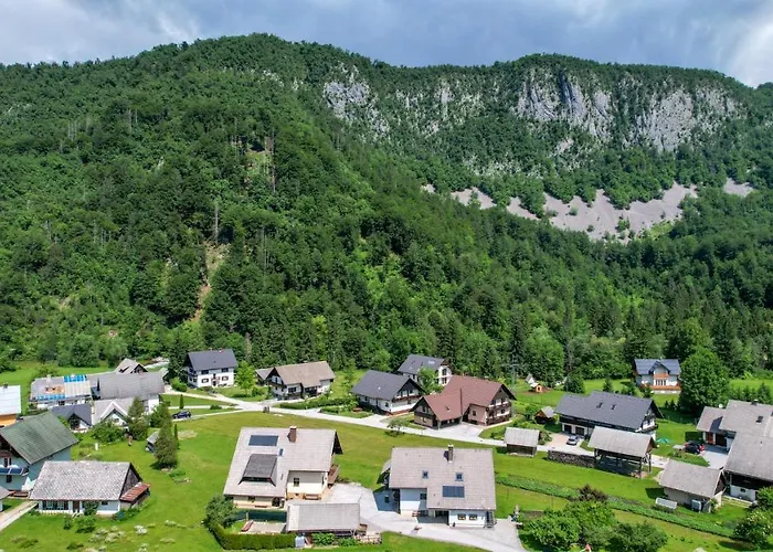 Darinka Mencinger * בוהין