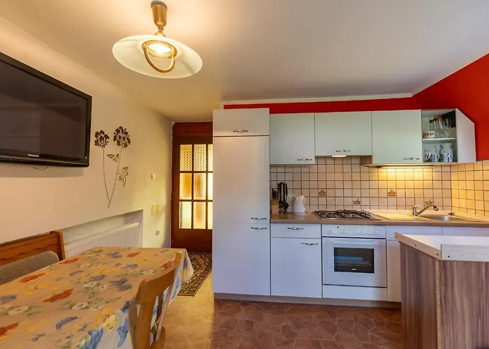 Darinka Mencinger בוהין