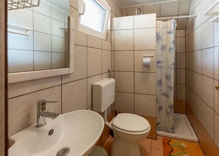 Darinka Mencinger בוהין