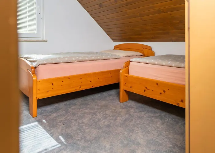 Darinka Mencinger בוהין