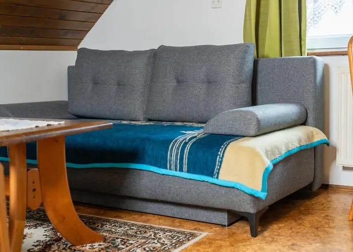 Darinka Mencinger * בוהין