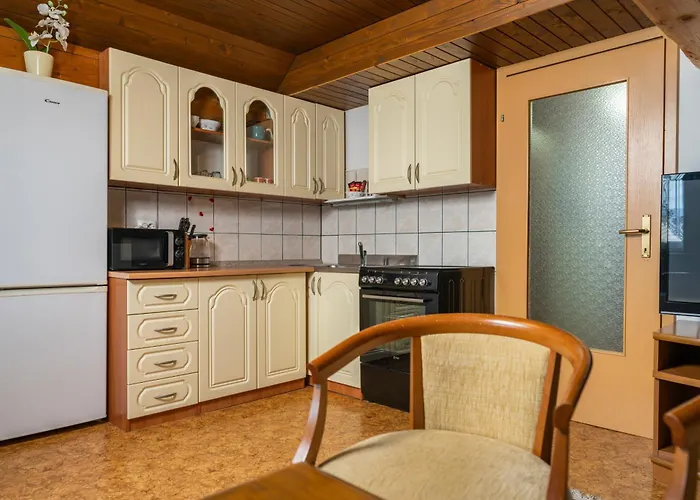 Darinka Mencinger דירה