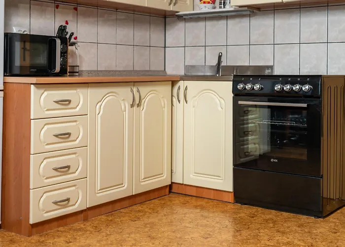 Darinka Mencinger דירה בוהין